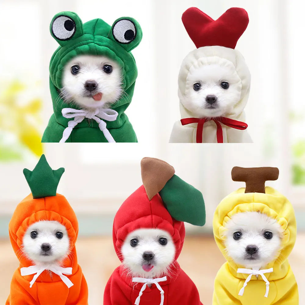 FruitCouture: Pet Hooded Sweatshirt for Stylish Cold-Weather Comfort - Happy Dog