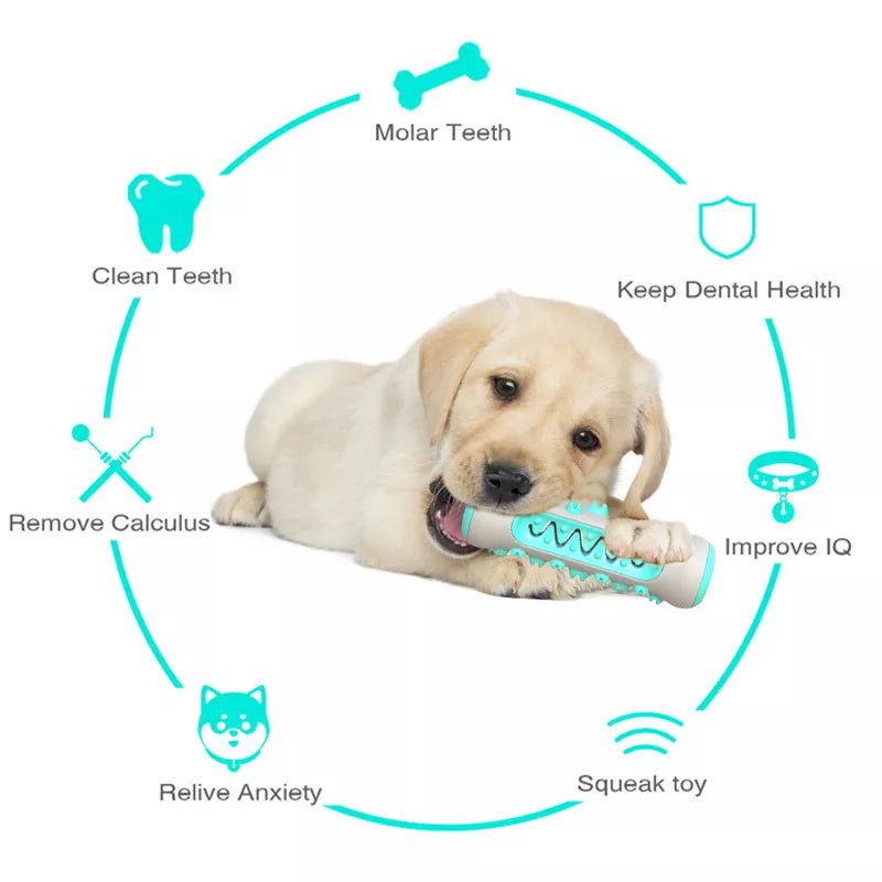 SmileSaver: Dog Molar Toothbrush Toy for Happy, Healthy Teeth - Happy Dog