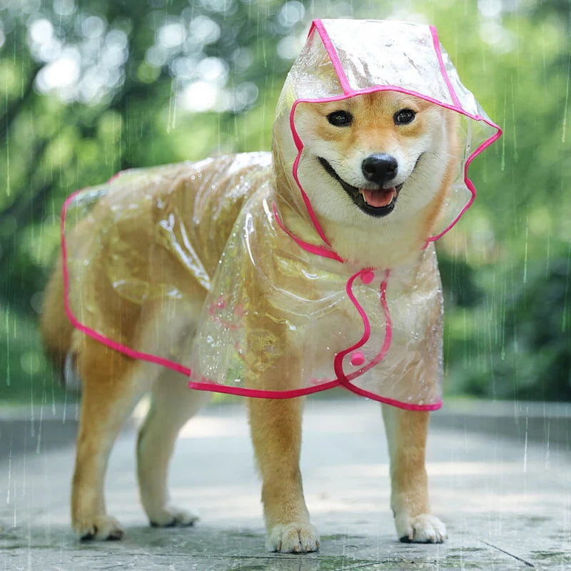 PuddleChic: Puppy Transparent Rainwear for Stylish Rainy Days - Happy Dog