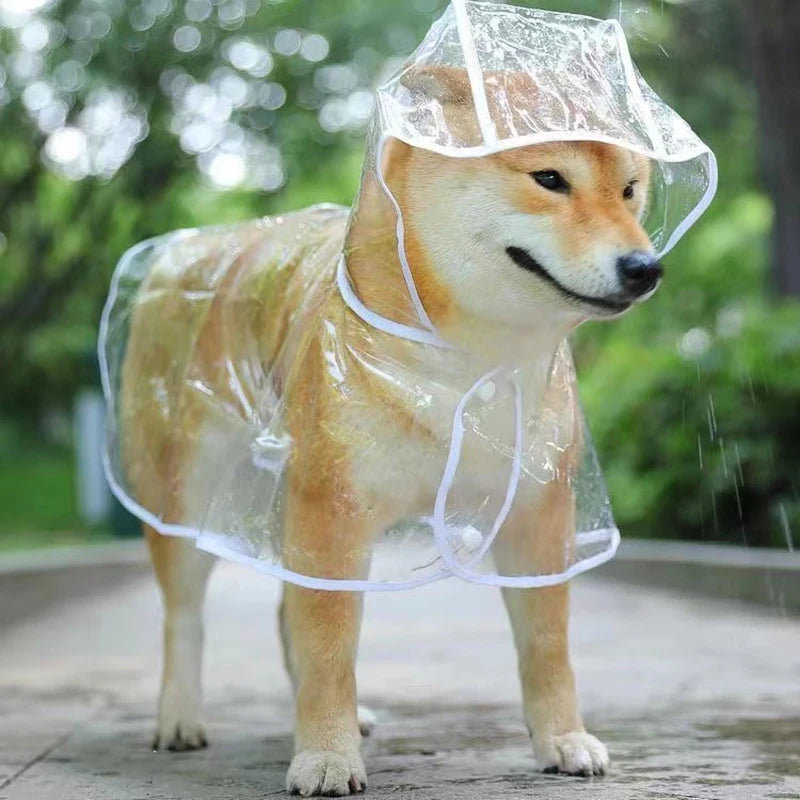 PuddleChic: Puppy Transparent Rainwear for Stylish Rainy Days - Happy Dog