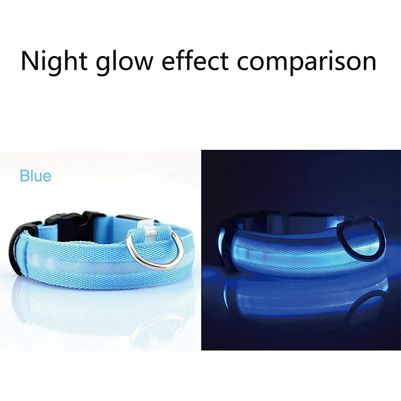 LightGuard: LED Glowing Dog Collar for Safe Nighttime Walks - Happy Dog