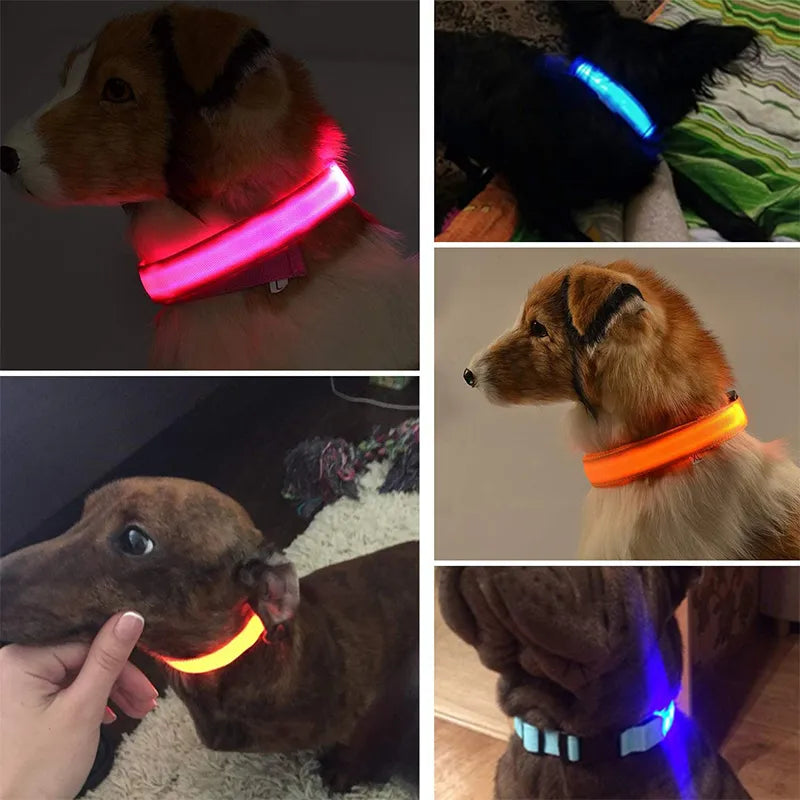 LightGuard: LED Glowing Dog Collar for Safe Nighttime Walks - Happy Dog