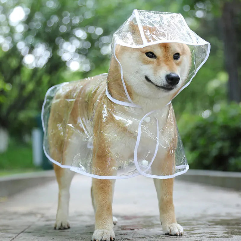 PuddleChic: Puppy Transparent Rainwear for Stylish Rainy Days - Happy Dog